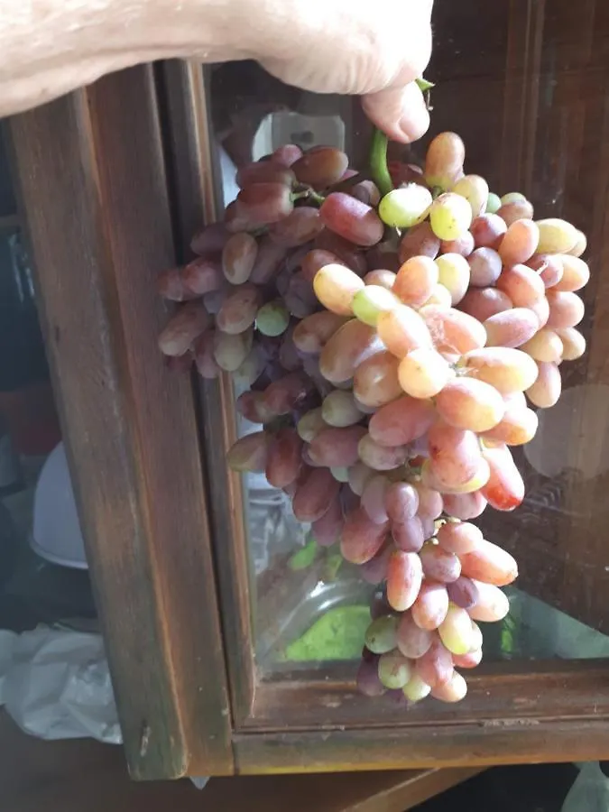 Casa De Bello 토르토사 B&B
