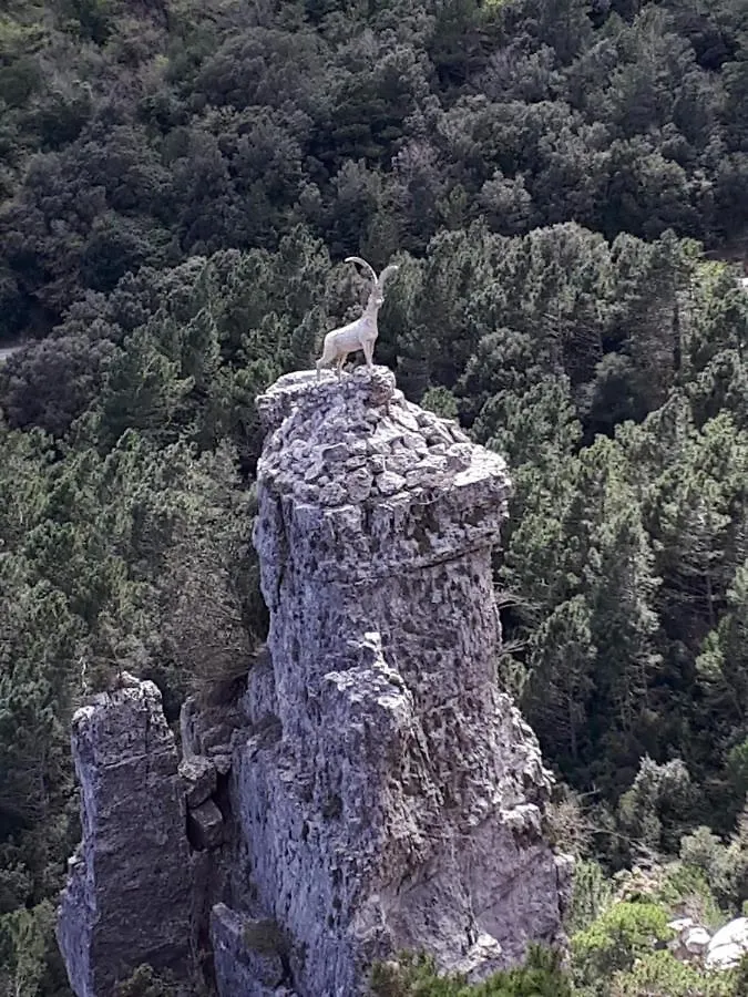 Casa De Bello Tortosa Hiszpania